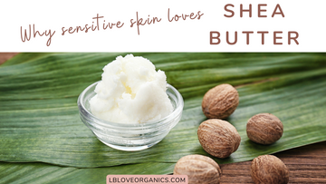 Ingredient Spotlight: Shea Butter